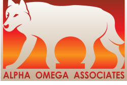 Alpha Omega Associates